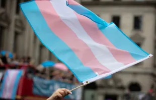 Transgender flag flag ink Drop/Shutterstock